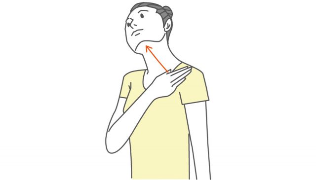 3. 首・鎖骨周りのストレッチ